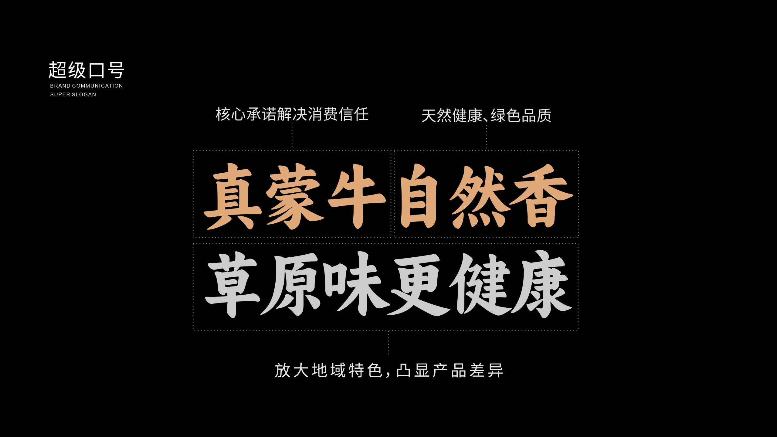 風干牛肉品牌包裝設(shè)計